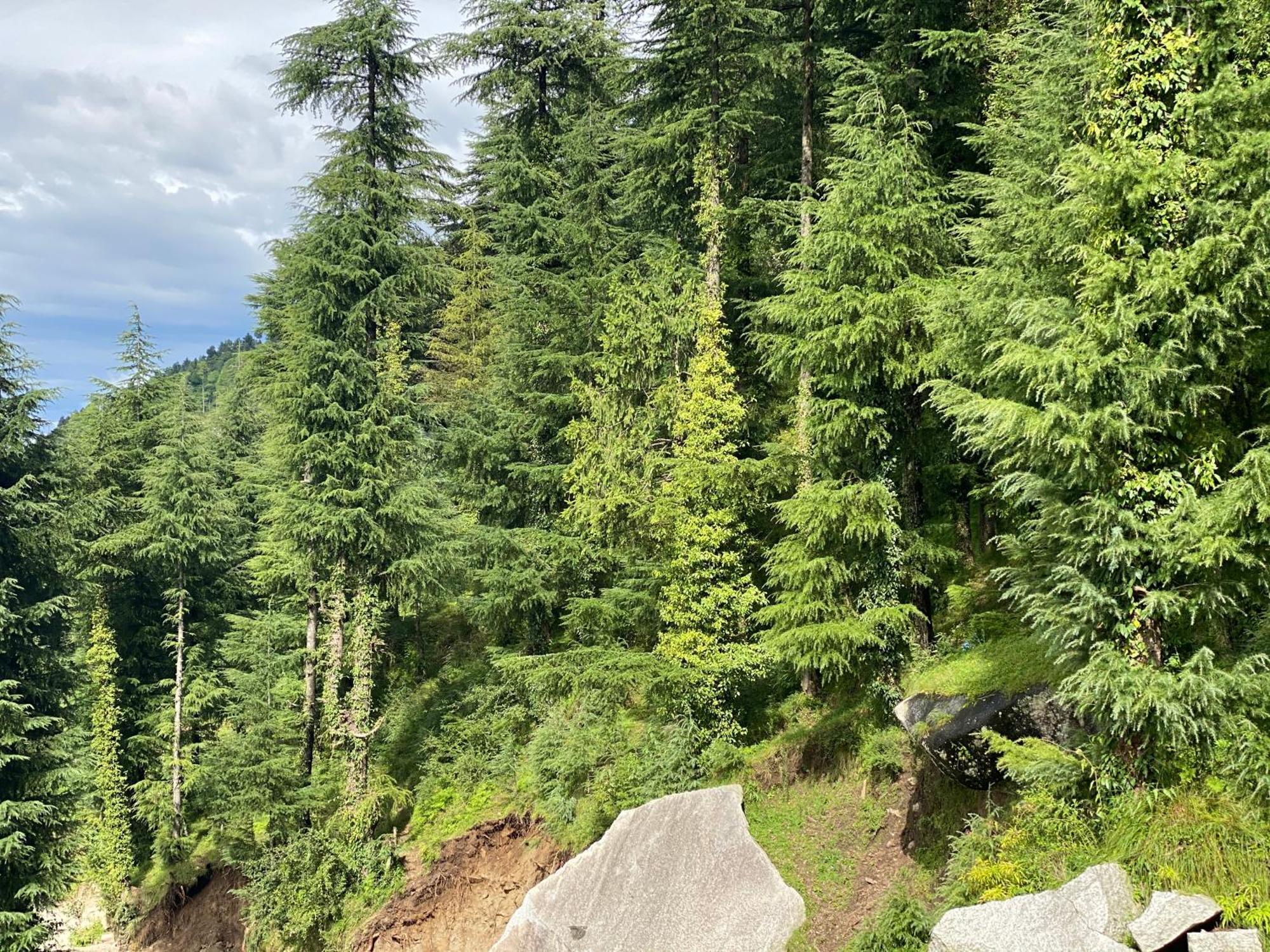 Aditya Homestay Dalhousie Exterior foto
